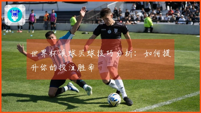 世界杯滚球买球技巧分析：如何提升你的投注胜率