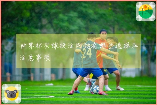 世界杯买球投注网站有哪些选择和注意事项