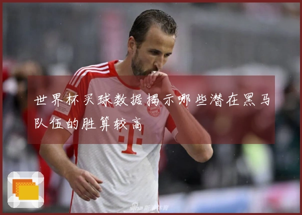 世界杯买球数据揭示哪些潜在黑马队伍的胜算较高