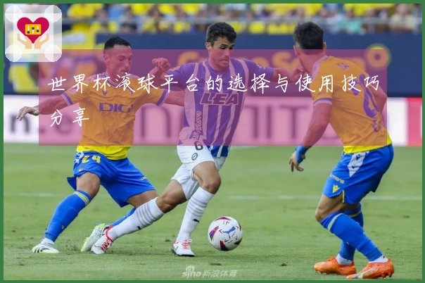 世界杯滚球平台的选择与使用技巧分享