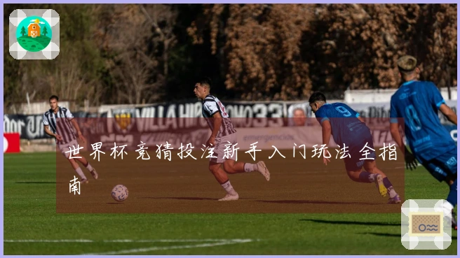 世界杯竞猜投注新手入门玩法全指南