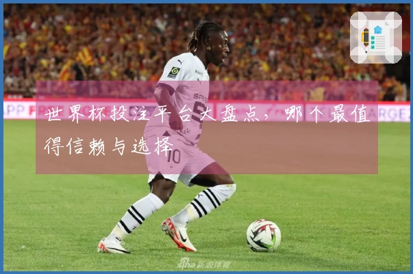 世界杯投注平台大盘点，哪个最值得信赖与选择