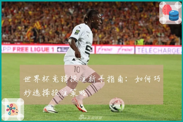 世界杯竞猜投注新手指南：如何巧妙选择投注策略
