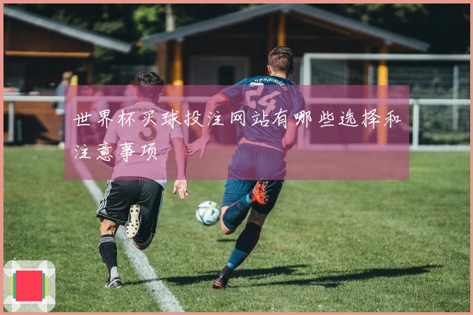 世界杯买球投注网站有哪些选择和注意事项