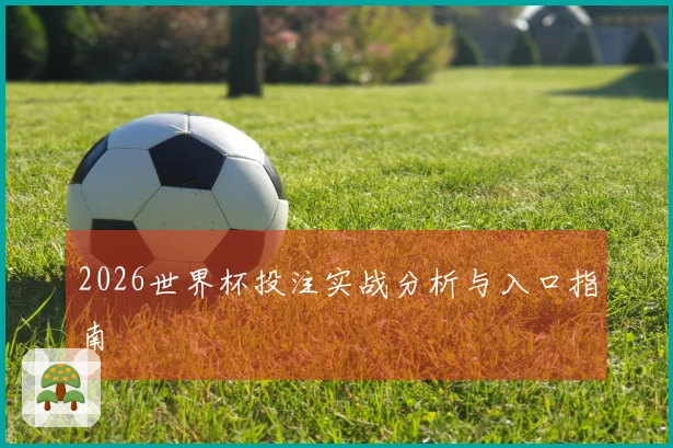 2026世界杯投注实战分析与入口指南