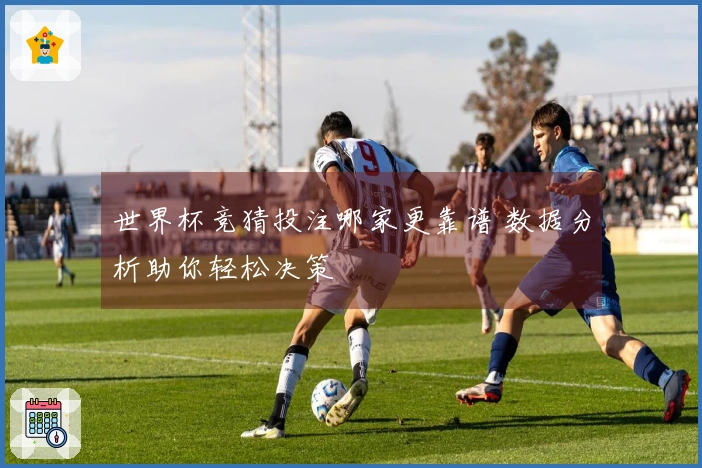 世界杯竞猜投注哪家更靠谱 数据分析助你轻松决策