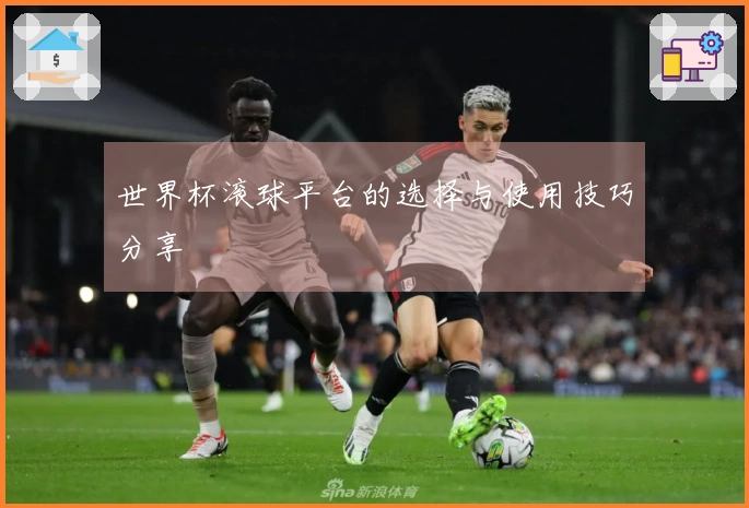 世界杯滚球平台的选择与使用技巧分享