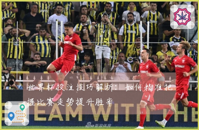 世界杯投注技巧解析：如何精准把握比赛走势提升胜率